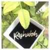 Customized Name Brooch 92.5 Hallmark Silver India 2021