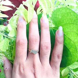 Bird Ring