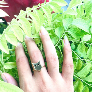 Best Customized Owl Ring 92.5 Hallmarked Silver India 2021